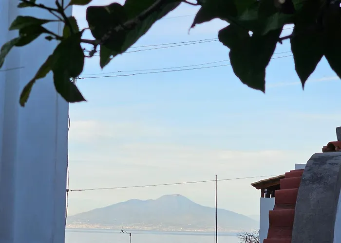 LA Giulia